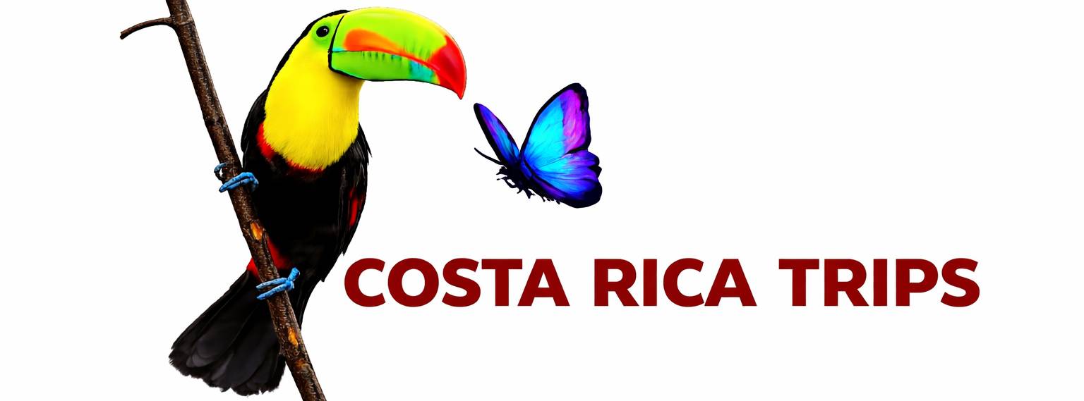 Costa Rica Trips Tours