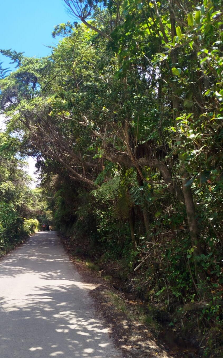 destino - Poás Volcano Tour 🌋 | Private Experience from San José + Breakfast & Strawberries Valle Central San José - Tour en Costa Rica