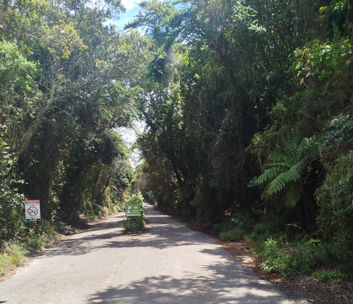 actividad - Poás Volcano Tour 🌋 | Private Experience from San José + Breakfast & Strawberries Valle Central San José - Tour en Costa Rica