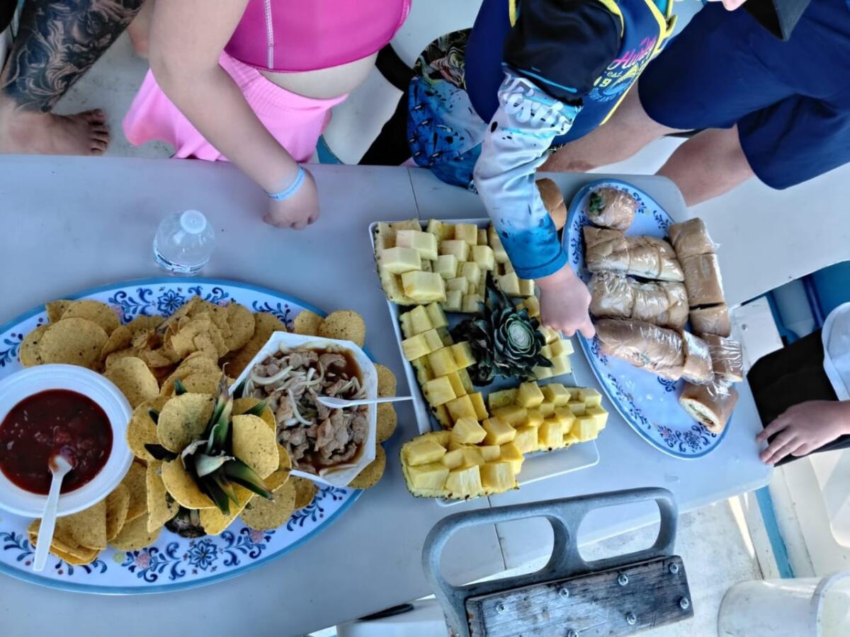 naturaleza - Sunscreen (reef-safe preferred) 🧴 Sunglasses 🕶️ Hat or cap 🧢 Light, comfortable clothing Swimsuit 👙 Towel Non-slip shoes or sandals Camera or phone for photos 📸 Dominical Puntarenas - Tour en Costa Rica